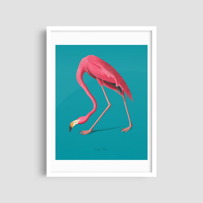 Постер "Elegant Flamingo"