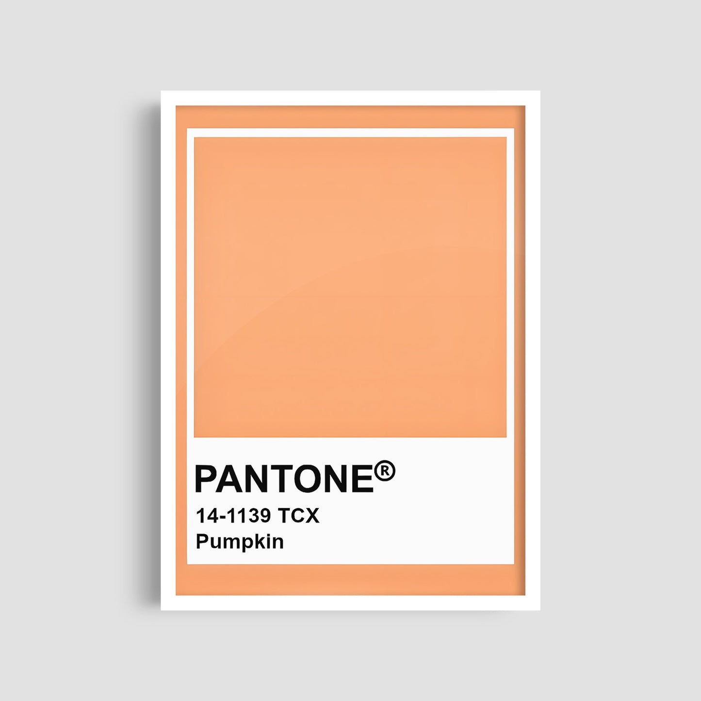 Постер "Pantone Pumpkin"